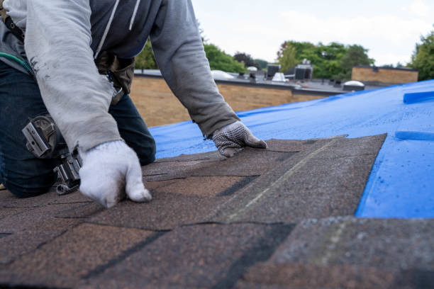 Best Roof Waterproofing Services  in Fairmount Heights, MD
